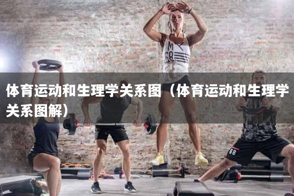 体育运动和生理学关系图(体育运动和生理学关系图解)