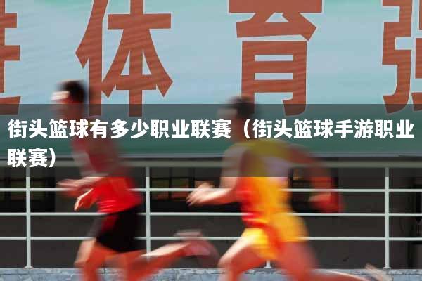 街头篮球有多少职业联赛（街头篮球手游职业联赛）