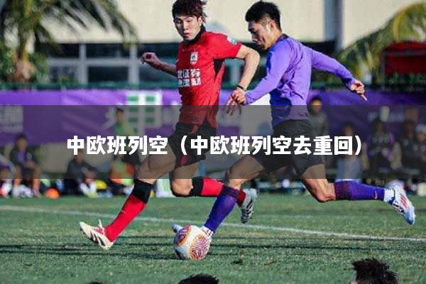 中欧班列空(中欧班列空去重回)