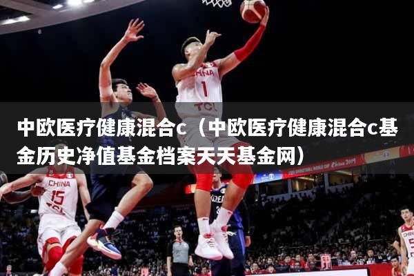 中欧医疗健康混合c（中欧医疗健康混合c基金历史净值基金档案天天基金网）